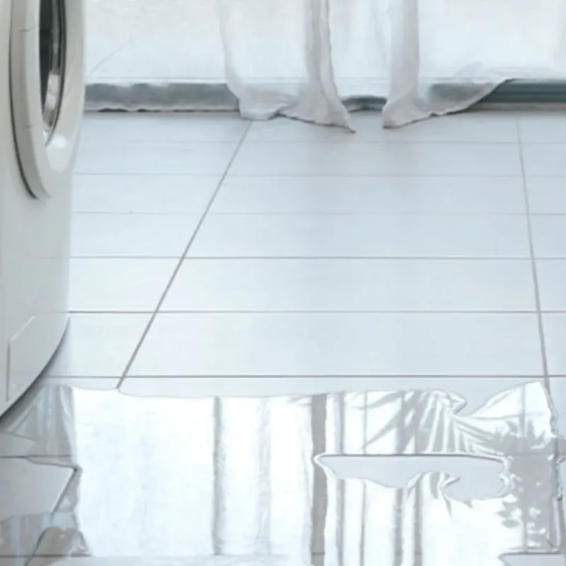 Appliance Leak Cleanup in Tulalip, WA